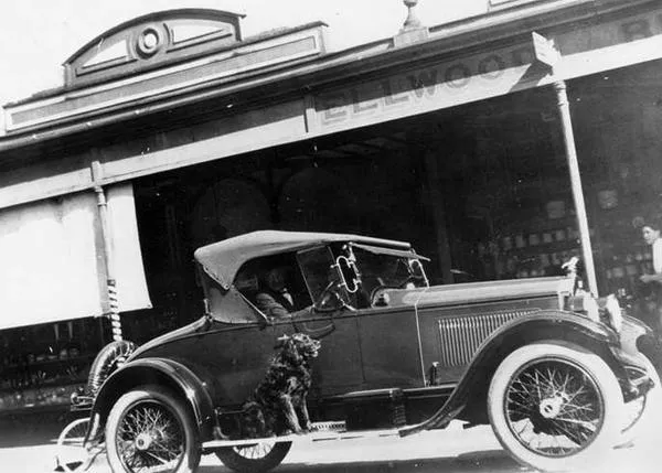 Opciones vintage (y más bien poco recomendables) para viajar en coche con un perro