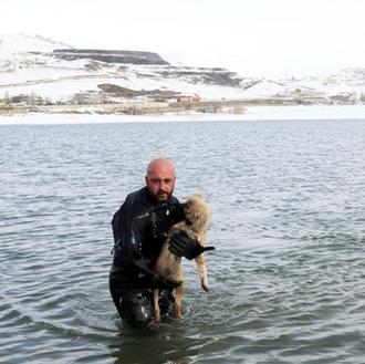 La policía rescata a un cachorro que estaba a punto …