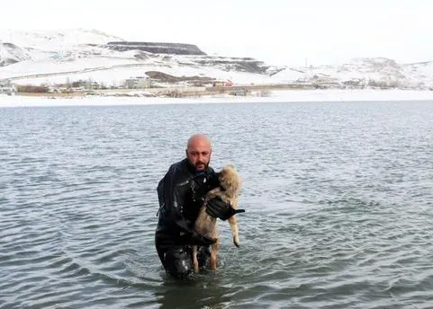 La policía rescata a un cachorro que estaba a punto de morir en un lago helado ¡y lo adoptan!