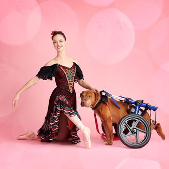 The Muttcracker 2019: o cómo fomentar la adopción con nuevos …