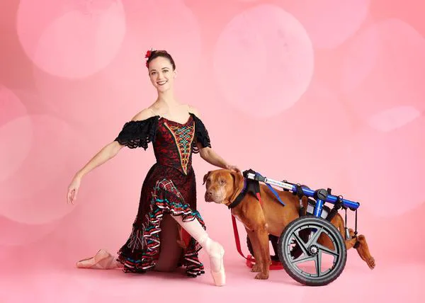The Muttcracker 2019: o cómo fomentar la adopción con nuevos y fabulosos retratos de bailarines con perros y gatos