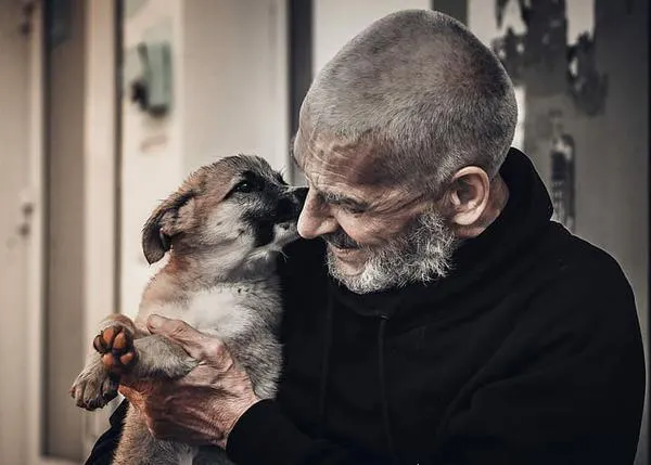 Los animales de compañía son clave para reducir las tasas de suicidio en personas mayores