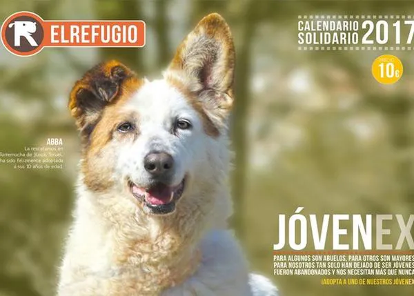 Los Reyes más solidarios buscan regalos en las tiendas de las protectoras