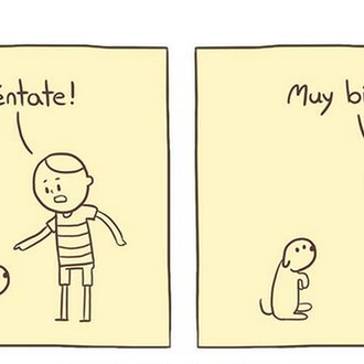 Lo único que no podemos enseñar a nuestros perros, por …