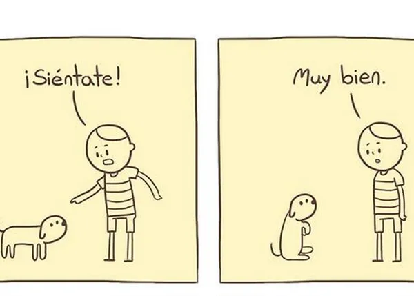 Lo único que no podemos enseñar a nuestros perros, por mucho que queramos