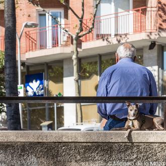 Las manifestaciones más frecuentes de la leishmaniosis: lesiones de piel …