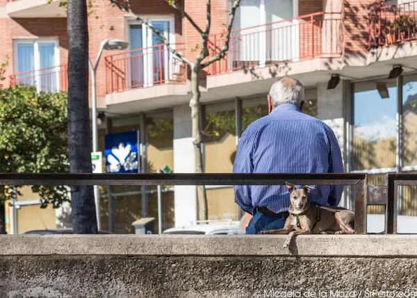 Las manifestaciones más frecuentes de la leishmaniosis: lesiones de piel, oculares...