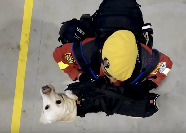 ¿Qué lleva en su mochila un guía canino de la UME? 25kg básicos para ayudar en caso de desastres