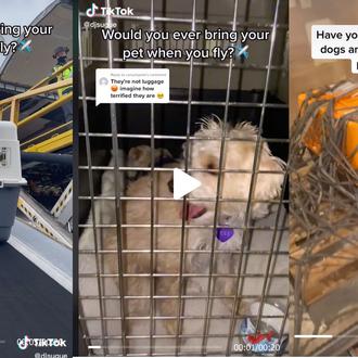 Un trabajador del aeropuerto muestra vídeos de cómo suben y …