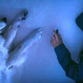 Kate Walsh (Anatomía de Grey & Sin Cita Previa), se convierte …