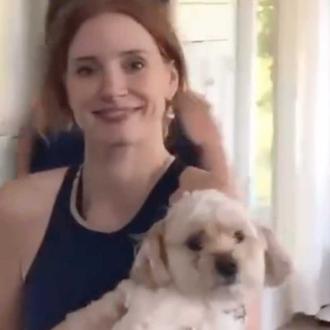 Los amores perros y el duelo de Jessica Chastain, tras …