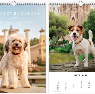 Un calendario solidario súper chulo y otras formas de intentar …