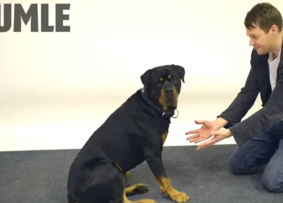 AbraCANdabra: el mejor truco de magia para perros, un vídeo desternillante