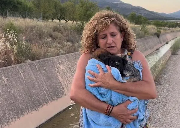 Rescatan en Huéscar a tres cachorros que alguien había tirado a un canal para que se ahogaran (y ahora buscan familia para ellos)