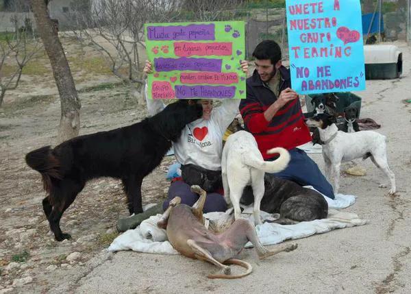 Una protectora de Jerez de la Frontera denuncia una estafa de falsas adopciones a través de Milanuncios