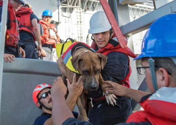 La Marina de EEUU rescata a dos mujeres y sus perros que llevaban meses perdidos en el Pacífico