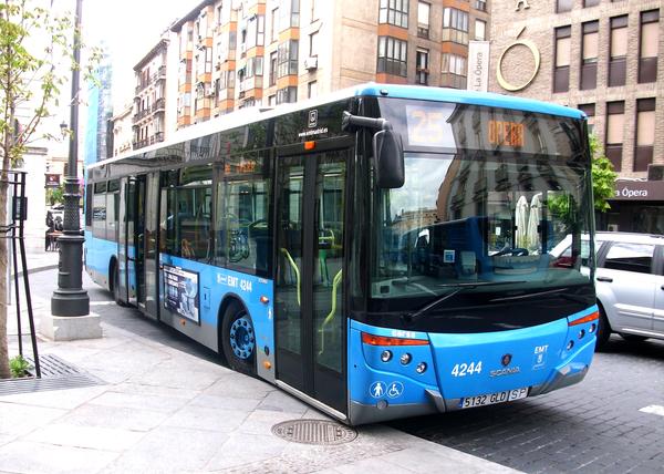 ¡Los perros pronto podrán viajar en autobús en Madrid! Aprobado un cambio en el 