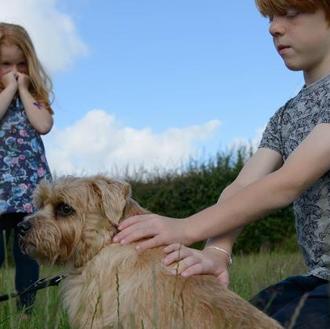 Cinofobia o fobia a los perros, ¿es posible superarlo?