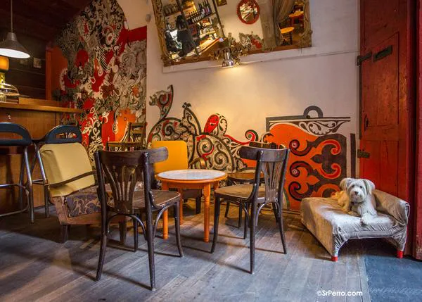 Cafés con enCANto y wifi: locales donde son bienvenidos los perros, versión la oficina fuera de casa