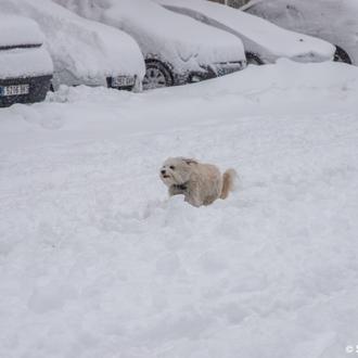 La sal utilizada en las calles para evitar el hielo …
