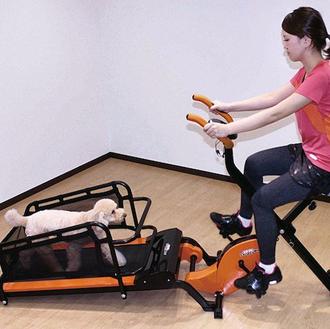 Inventos rarunos pero reales: la bicicleta estática con cinta para …