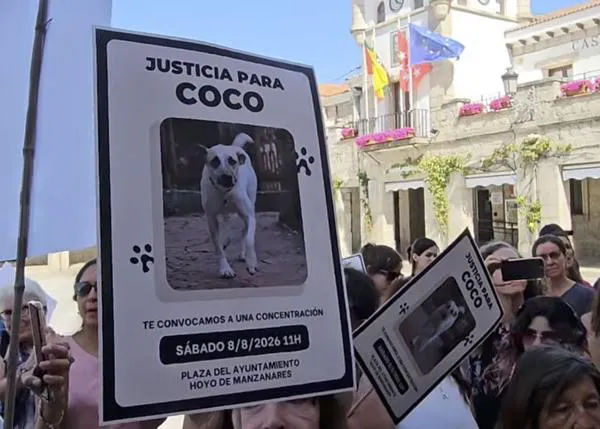 Vecinos de Hoyo de Manzanares exigen justicia para Coco, la perra a la que han matado de un disparo