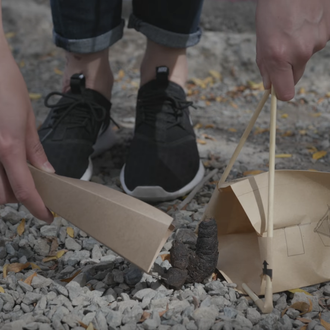 Una paseadora profesional analiza los diversos y peculiaries artilugios para …