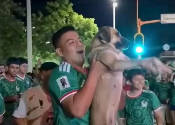 Encuentra a su perra, que llevaba un mes perdida, gracias a un vídeo durante las celebraciones del Mundial de Fútbol en México