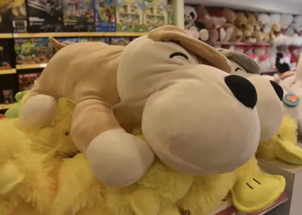 Robo en una juguetería...  ¡perpetrado por unos perros muy listos!