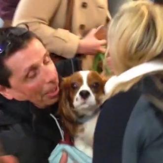 Un susto con final feliz: un perro cae a las …