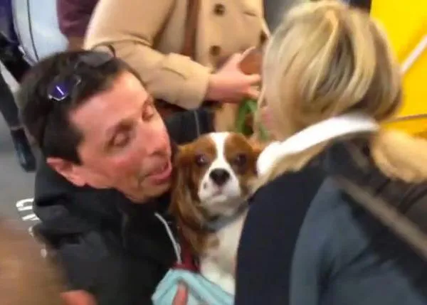 Un susto con final feliz: un perro cae a las vías del metro y es rescatado