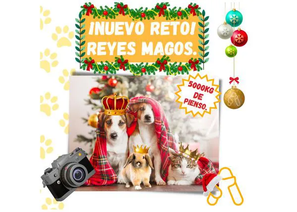Los Reyes magos llegan cargados con 5000 kilos de pienso solidario para las protectoras, ¡con nuestra ayuda!