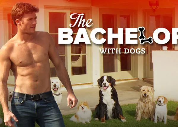 Soltero busca nueva pareja... perruna: una parodia con prota de lujo, Scott Eastwood