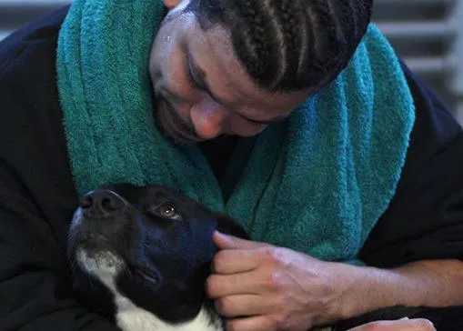Perros en la cárcel: programas en EEUU y España que buscan ayudar a los presos y a los canes