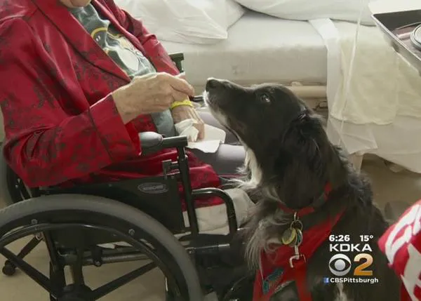 Una visita que aporta alegría y bienestar: perros de terapia en un hospital por San Valentín
