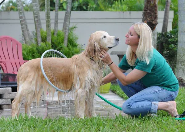 Inventos perrunos frikis pero útiles: Woof Washer, algo así como... la ducha hula hoop