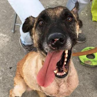 El (brutal) caso de Vespa y todo lo que queda …