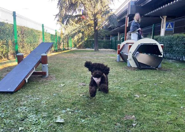 Aena inaugura un pequeño parque para perros viajeros en el Aeropuerto Adolfo Suárez Madrid-Barajas, el primero de 5