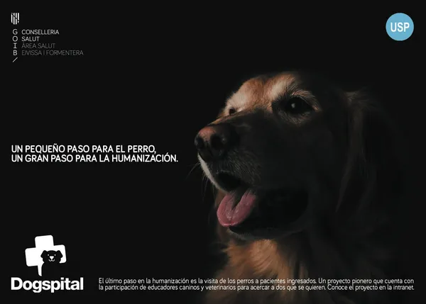 DOGSPITAL: una iniciativa pionera permite a los enfermos ingresados en un hospital de Ibiza recibir la visita de sus perros