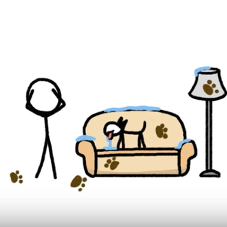 Los bebés que se crían con perros también ven reforzado …