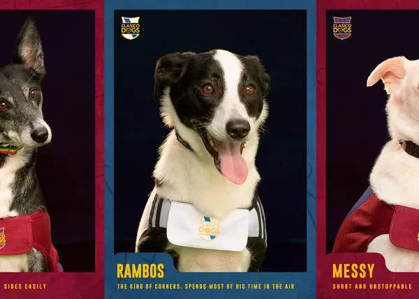 Fifigo, Dogaldo y Messy, o cómo fomentar la adopción de mestizos con guapérrimos canes reconvertidos en futbolistas
