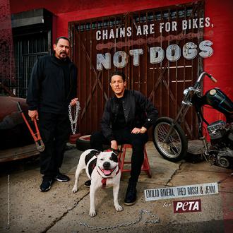 Las cadenas son para las motos, no para los perros