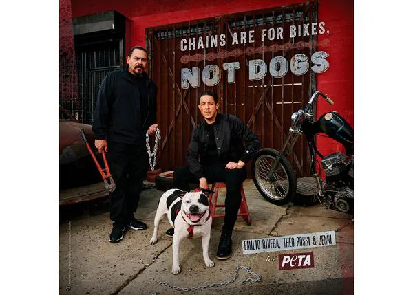 Las cadenas son para las motos, no para los perros
