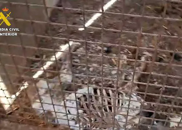 Mueren por inanición 32 perros abandonados -sin agua o comida- en una finca de Azuaga, Badajoz