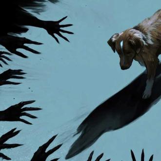 El director de Good Boy -y humano de Indy, el …