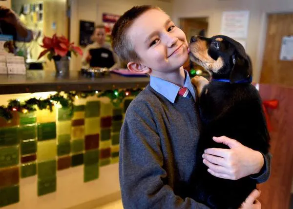 Un niño logra recaudar más de 3000 dólares para ayudar a los animales 