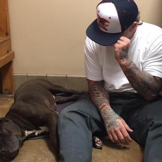 Un hombre se despide de su perro: una lección de …