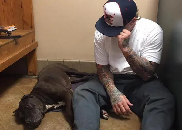Un hombre se despide de su perro: una lección de compasión humana