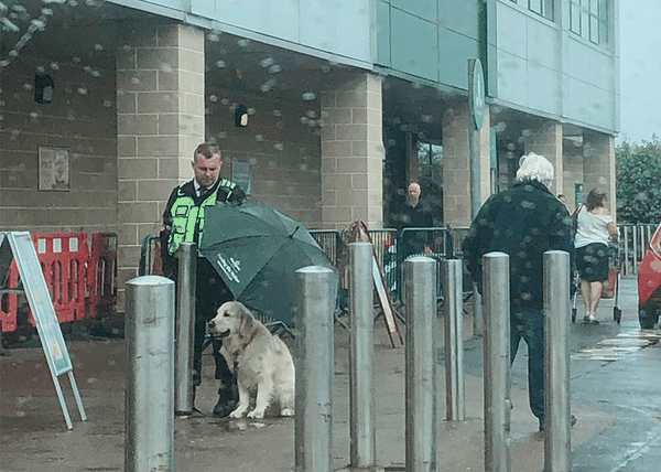 El (maravilloso) gesto de un guarda de seguridad protegiendo a un perro de la lluvia #noaparquesatuperro