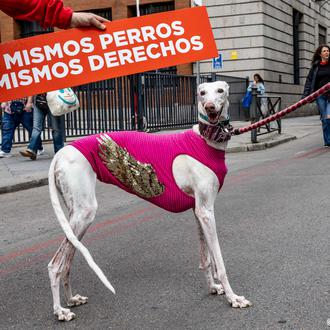 Cientos de personas exigen que todos los perros, también los …